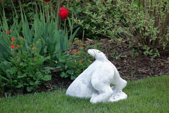 Garten Dekoration Hund Terrasse Stein Weiß Figuren Dekorative Statue Figur