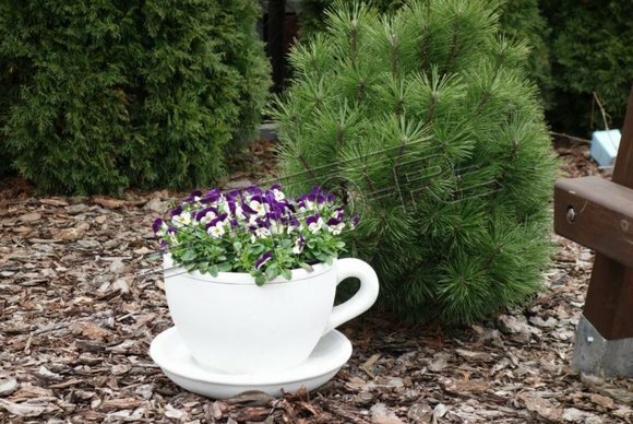 Blumenkübel Pflanz Kübel Natur Dekoration Vasen Figur Garten Blumentöpfe