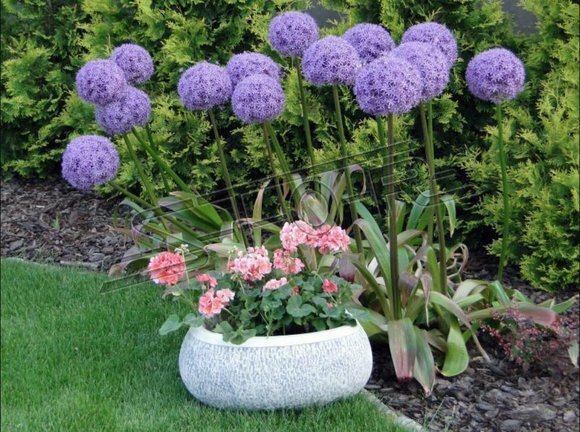 Blumenkübel Natur Pflanz Kübel Dekoration Garten Vasen Figur Blumentöpfe