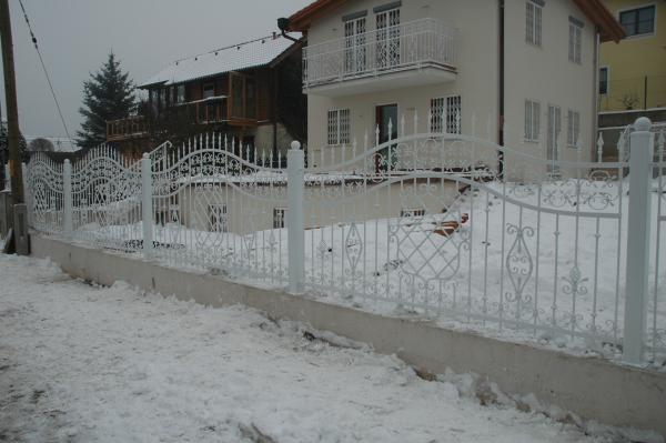 Aussen Garten Barock Rokoko Zaun Klassisch Geländer Zaun Schmiedeeisen 1lfm 206