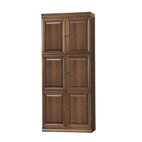 Schrank Holzschrank Stauraumschrank Bücherschrank Hochschrank