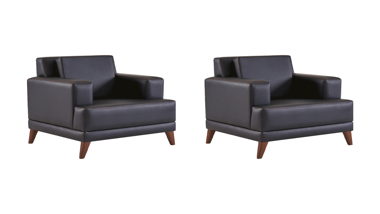 Lehnsessel Leder Sessel Schwarz Modern Polster Kissen 1-Sitzer Holz