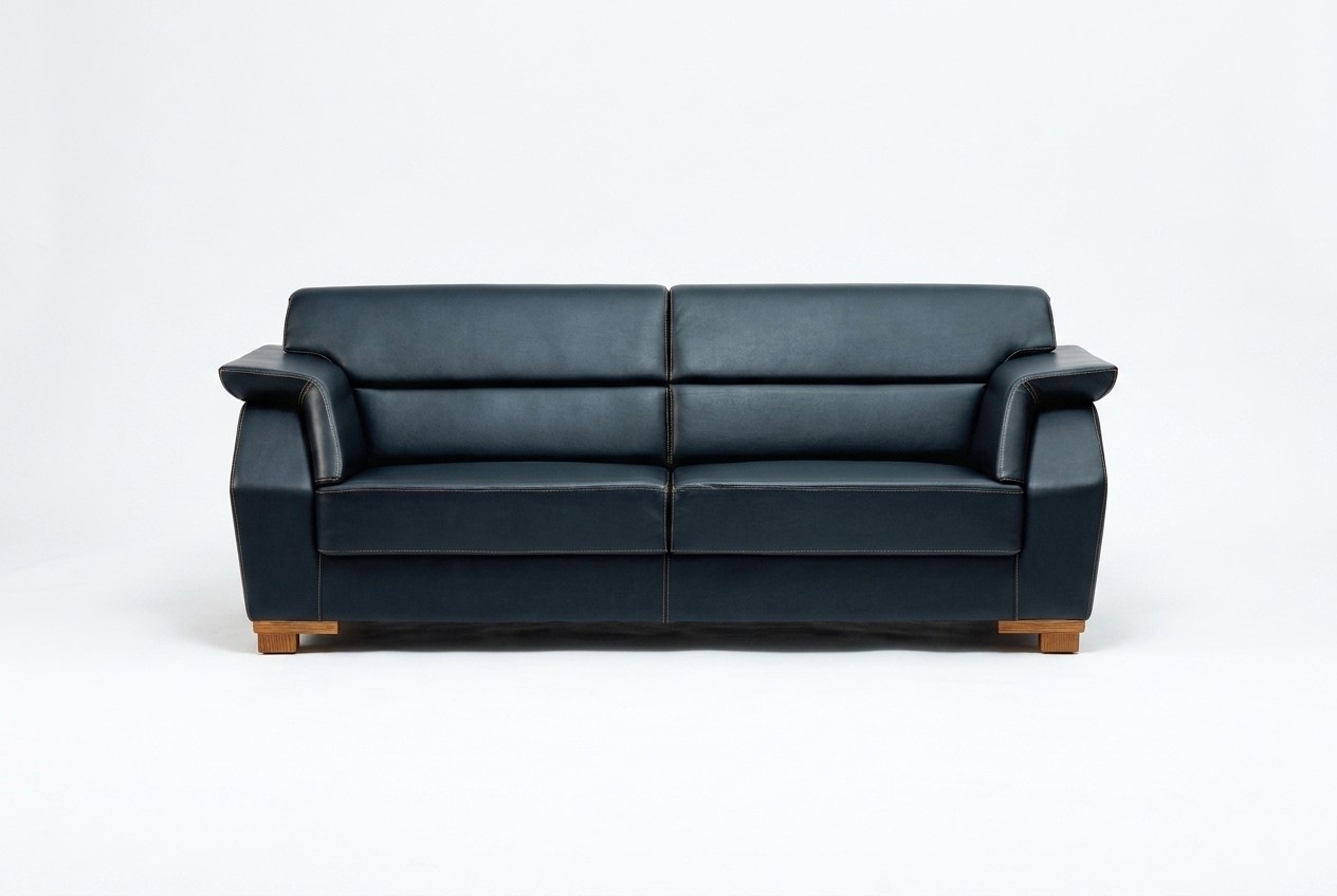 2 Sitzer Sofa Zweisitzer Sofas Couch Polster Moderne Couchen Möbel