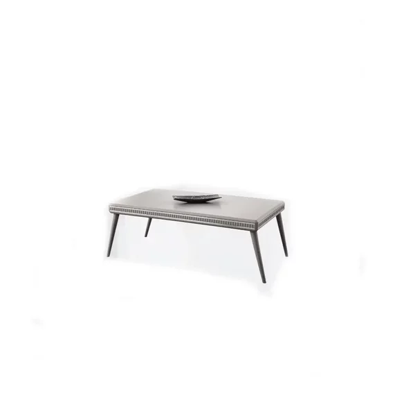 Couchtisch Wohnzimmer Sofatisch Kaffeetisch Sofatisch Grau