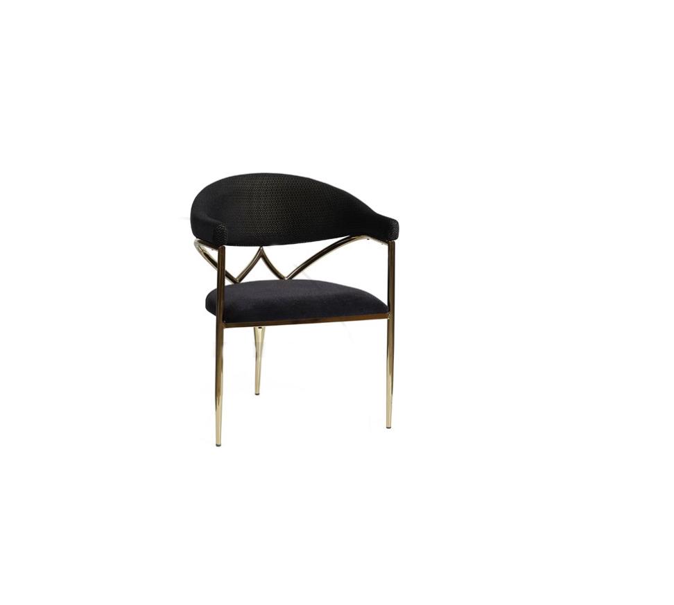 Schwarzer Edelstahlstuhl Holzrahmen Esszimmer Stühle Moderne Einsitzer
