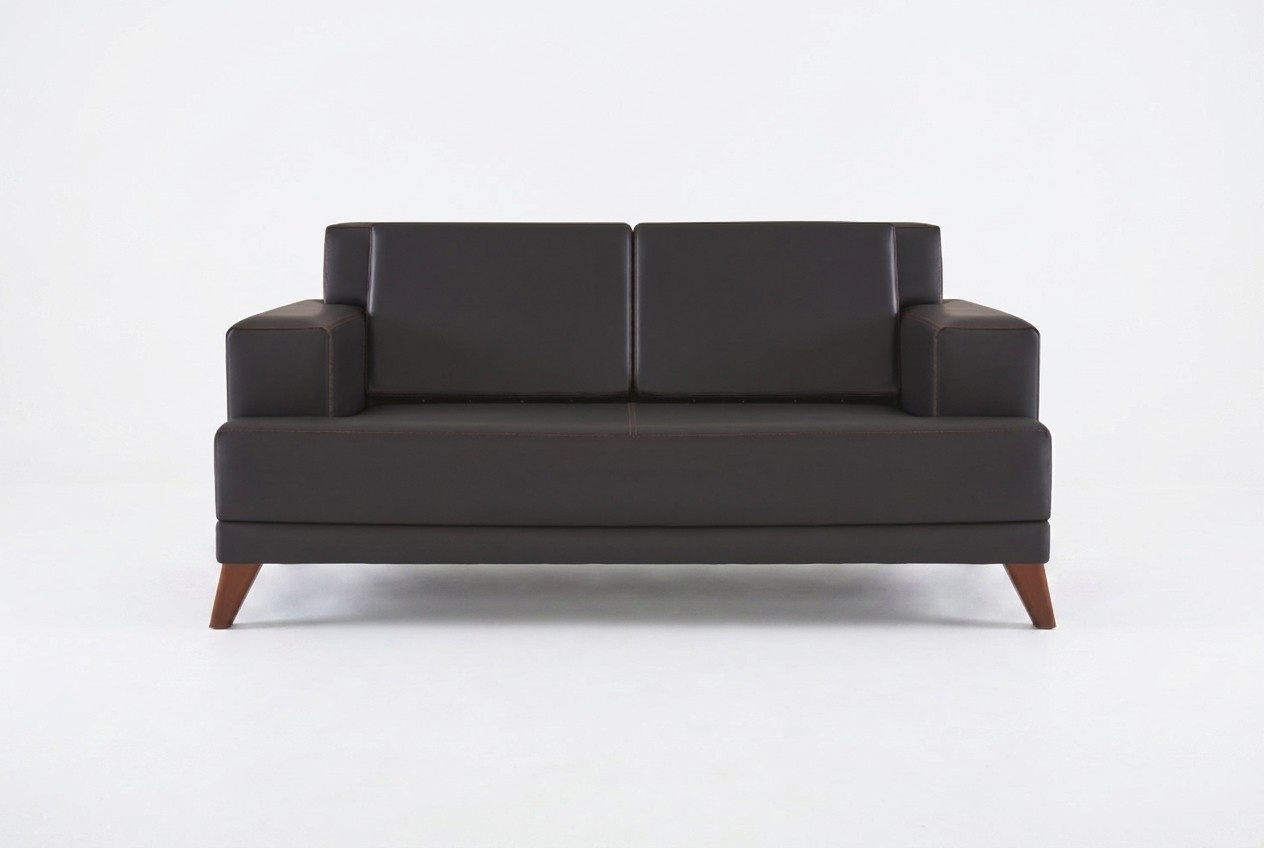 Couch Leder 2-Sitzer Sofa Schwarz Einfarbig Modern Design Ledesofa Holz
