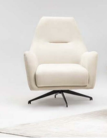 Stoffsessel Sessel Ohrensessel Beige Polster Wohnzimmer Einsitzer Sitz
