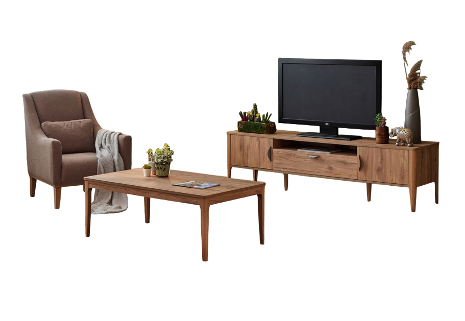 Komplett Wohnzimmer Sessel TV Ständer Holzmöbel Couchtisch Luxus Set