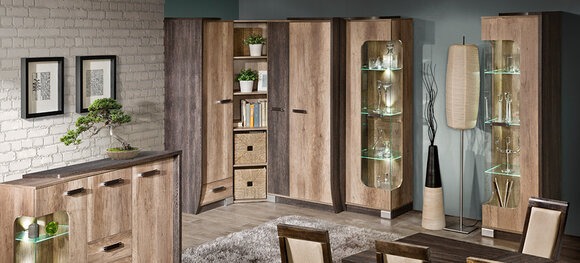 Wohnwand Anbauwand 6 teilig mit Vitrine RTV Regal Schrankwand Eiche
