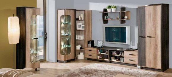 Wohnwand Set Vitrine Wandregal TV-Ständer Schrank Wohnwände