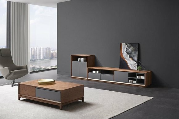Design Wohnwand RTV Side Low Schrank Board Wohnzimmer Regal