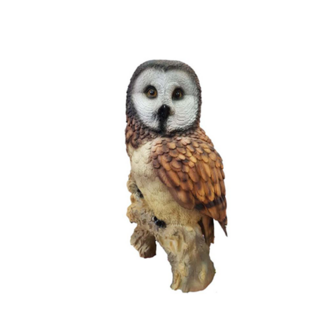 Garten Dekoration Vogel Eule 50cm Figur Statue Skulpturen Figuren Statuen