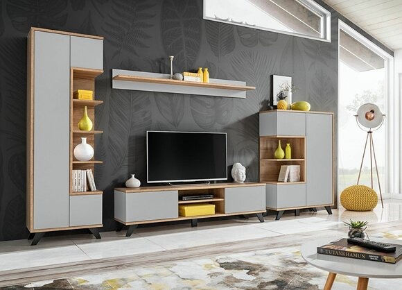 Wohnwände Garnitur 4 tlg Luxus Wohnzimmer Set TV-Ständer Bücherregal Möbel