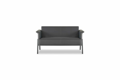 Dunkelgrauer 2-Sitzer Arbeitszimmer Moderner Leder Zweisitzer Edle Möbel