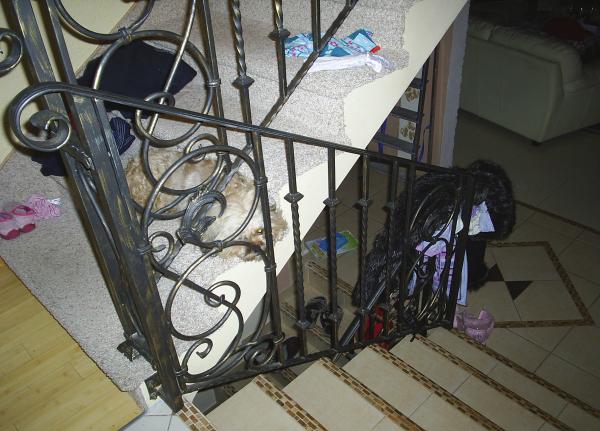 Klassische Geländer Handgefertigte Balkon Treppen Schmiedezaun Zaun 1lfm #177