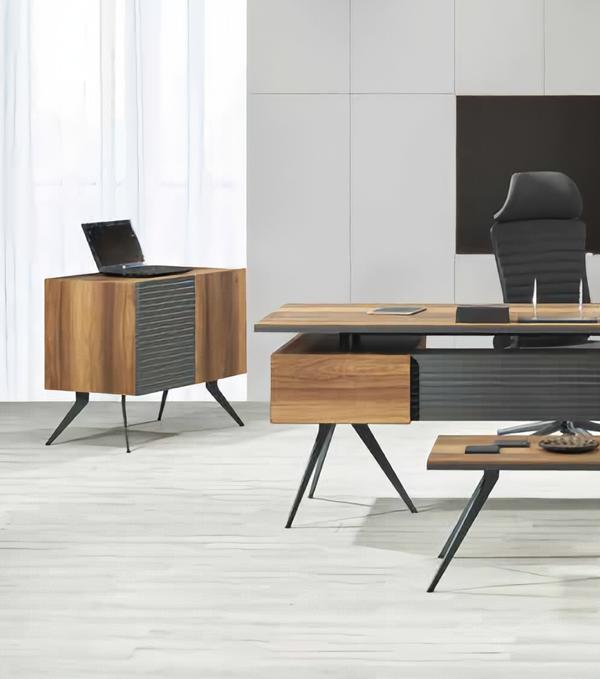 Büroassistentin Büroschrank Büroorganisatorin Kommode Schrank Büromöbel