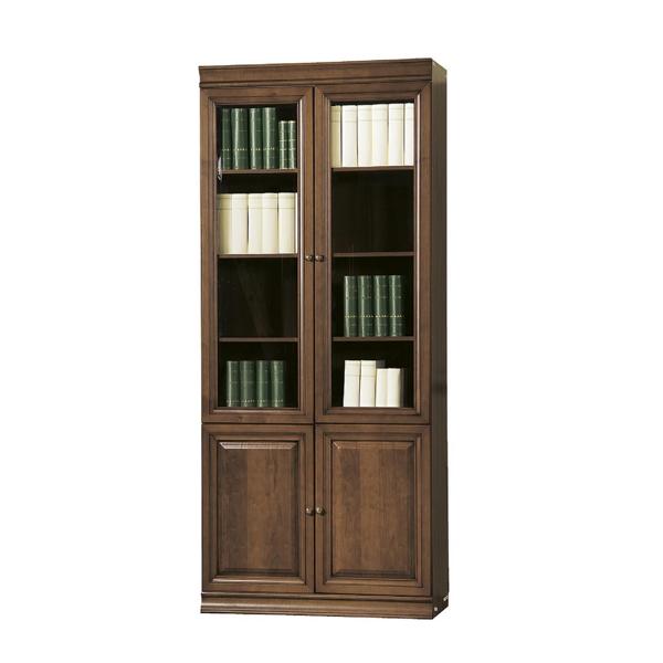 Bücherregal Bücherschrank Regalvitrine Vitrinenschrank Regal Bücherbord