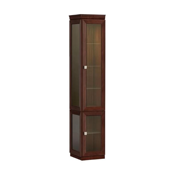 Schrankvitrine Vitrine Regalvitrine Vitrinenschrank Glasschrank Glasvitrine