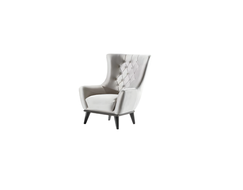 Designer Loungesessel Hotels Executive Hotels Business Lobby Club Sessel