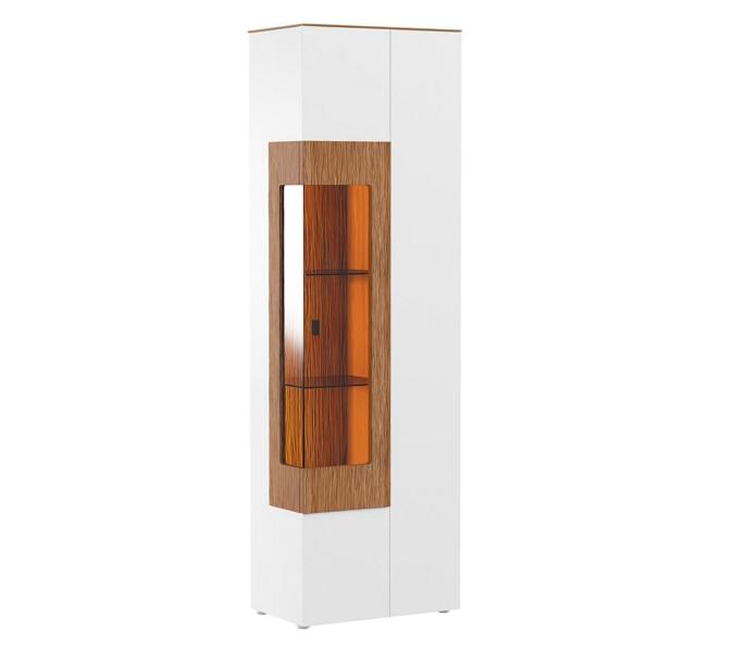 Vitrinenschrank Vitrine Schrankvitrine Glasdisplay Objektschrank