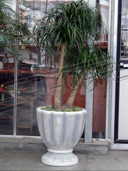Blumentöpfe Kasten Topf Blumen Dekorative Töpfe XXL Beton Garten Terrasse
