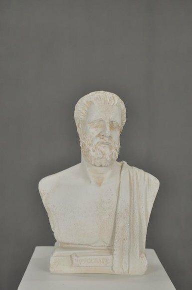 Design Büste Hippokrates Figur Statue Skulptur Figuren Dekoration