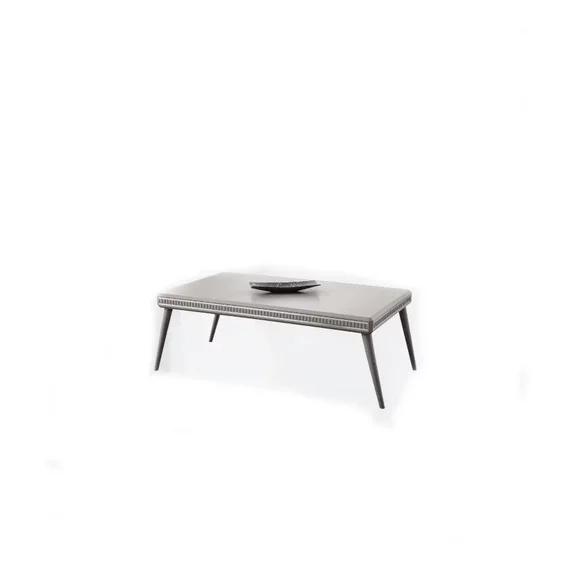 Couchtisch Wohnzimmer Sofatisch Kaffeetisch Sofatisch Grau