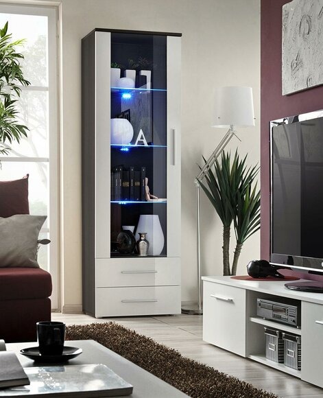 Glas Holz Schrank Vitrine Wohnzimmer Design Moderne Möbel Luxus Neu