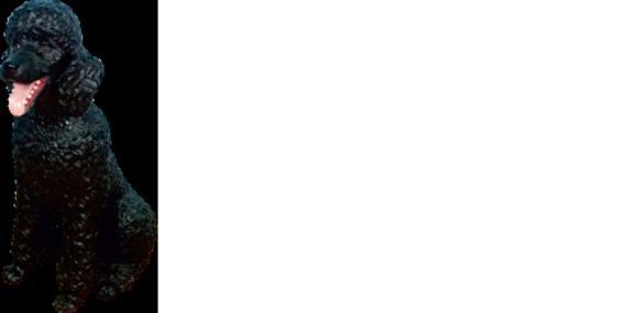 Design Puddle Figur Statue Skulptur Figuren Skulpturen