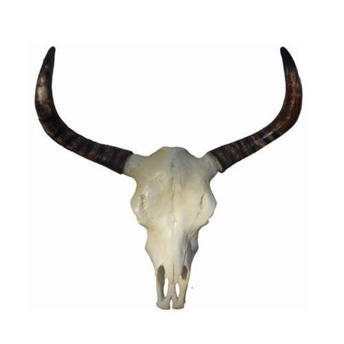 Rind Geweih Kopf Wand Deko Dekoration 78cm Wand Design Kopf