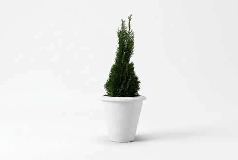 Natur Blumenkübel Pflanz Kübel Dekoration Figur Vasen Garten Blumentöpfe