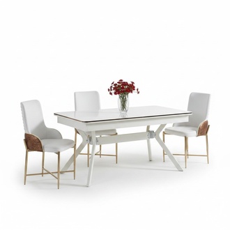 Garnitur Esszimmer Stuhl Set 6x Stühle+Esstisch Luxus Möbel Gruppe