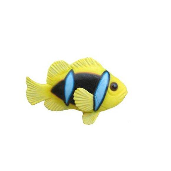 Anemonen Fisch Ozean Exotische Fische Aufsteller Aquarium Zoo