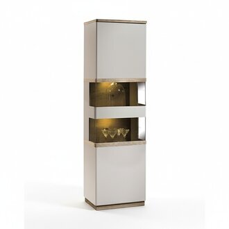 Klassische Schrank Bücherschrank Bücherregal Vitrine Vitrinenschrank Glasschrank