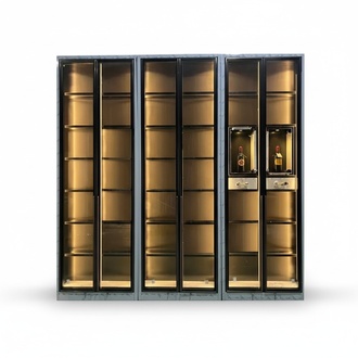 Moderner Edelstahl-Weinschrank mit Dual-Zone-Temperaturregelung in
