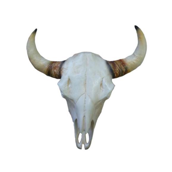 Bullenschädel Stierkopf Wand Skulpturen Höhe 64 cm Deko Figur Skelett