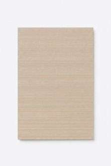 Teppich Kunstfaserteppich Kurzflor Einfarbig Flur Foyer Veranda Beige