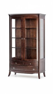 Wohnzimmer Möbel Klassische Vitrine Holz Glas Glasschrank Schrank Vitrinen Neu