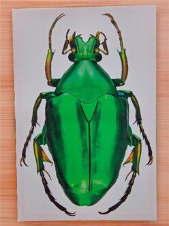 Reduzierte Ölmalerei mit präziser, geometrischer Linienführung Sofort