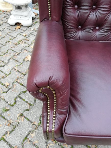 Artikel Bild