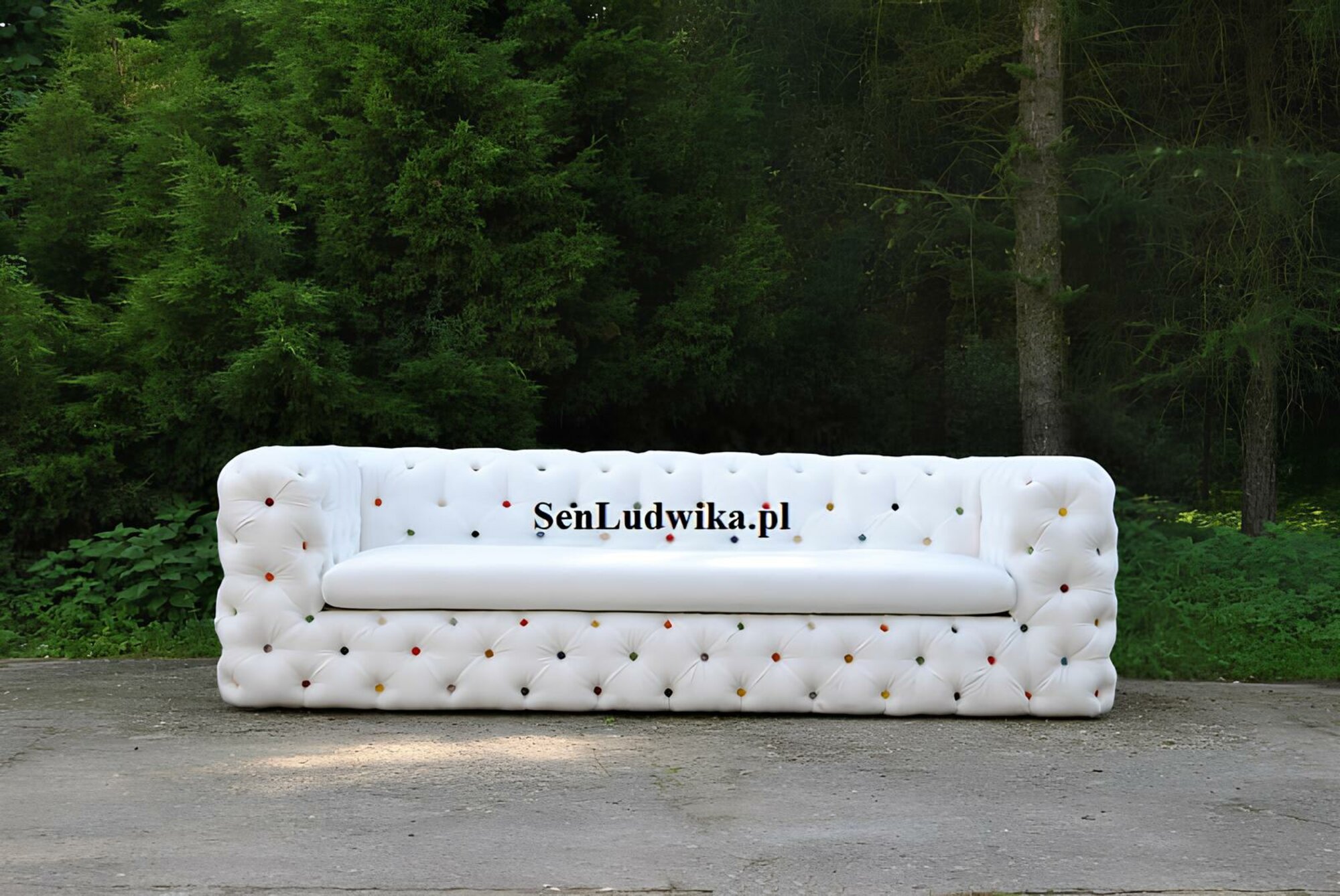 Artikel Bild