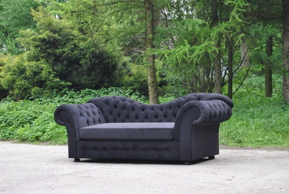 Artikel Bild