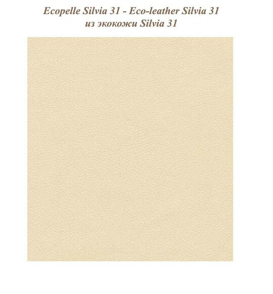 Artikel Bild