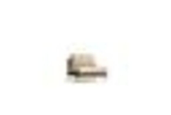 Artikel Bild