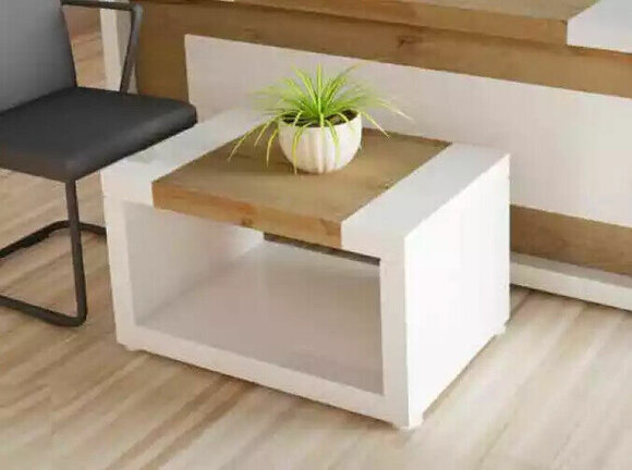 Artikel Bild