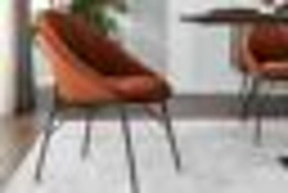 Artikel Bild