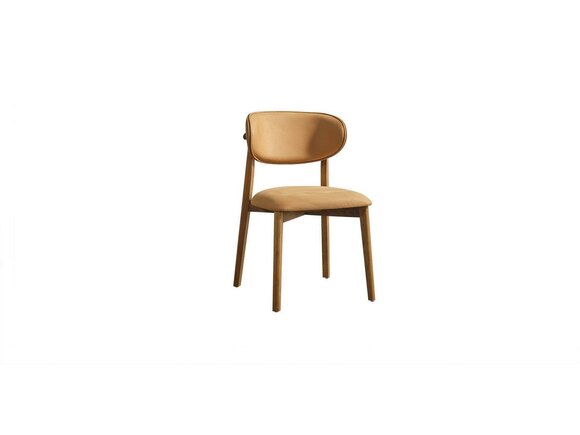 Artikel Bild