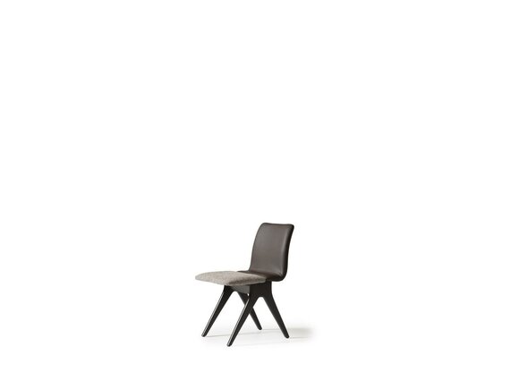 Artikel Bild