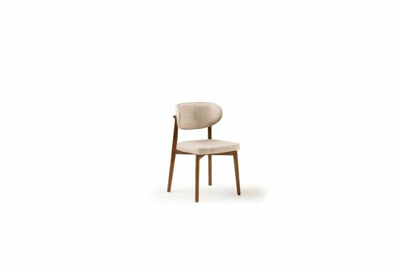 Artikel Bild