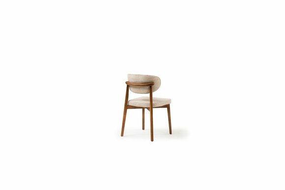 Artikel Bild